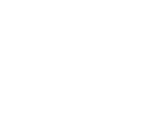 Logo Supporter Rizoma